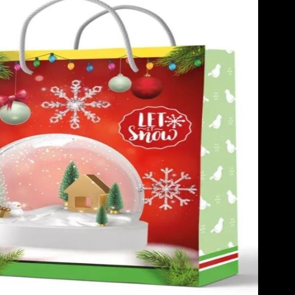 BOLSA CH. SLIC. NAV. DIPAK E.10 C.100